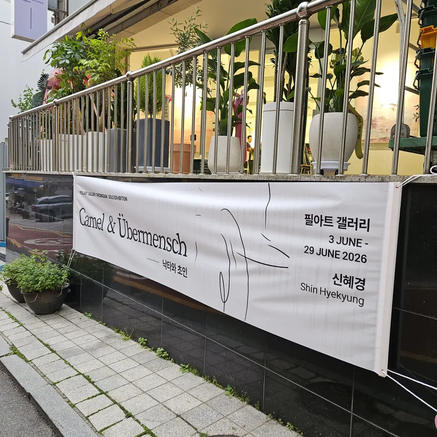 도시락 업체 추천 이윤선쿠킹스튜디오 납품 현장